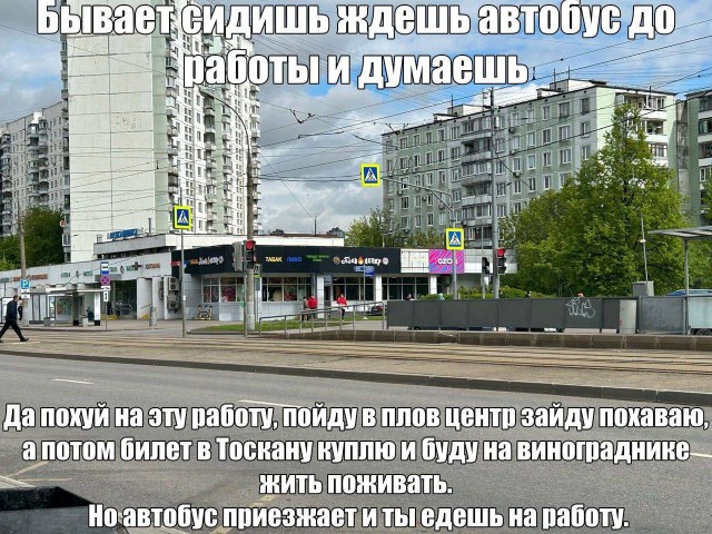 Весёлый полтишок 04.06.2025