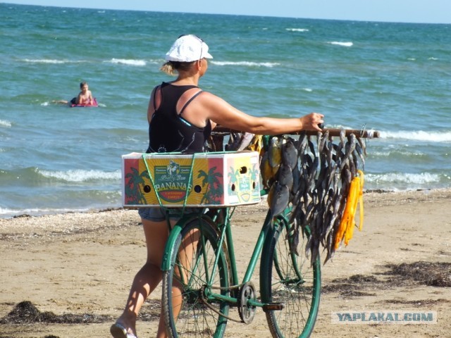 Малый бизнес: пляжные торговцы Украины
