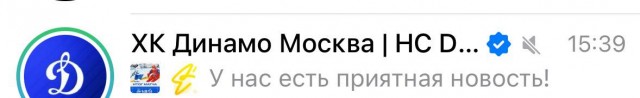 Веселее вы в хоккее* (3)