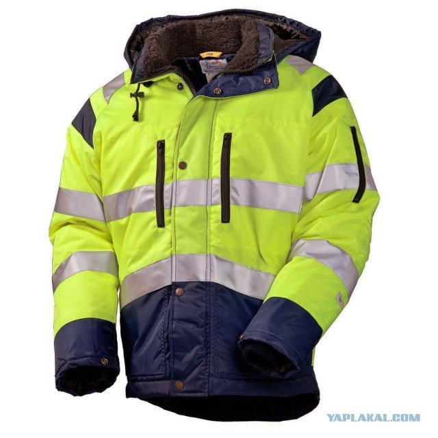 Любимая куртка