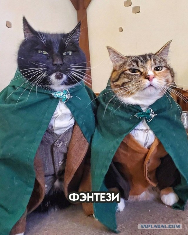 Несколько жанров кино