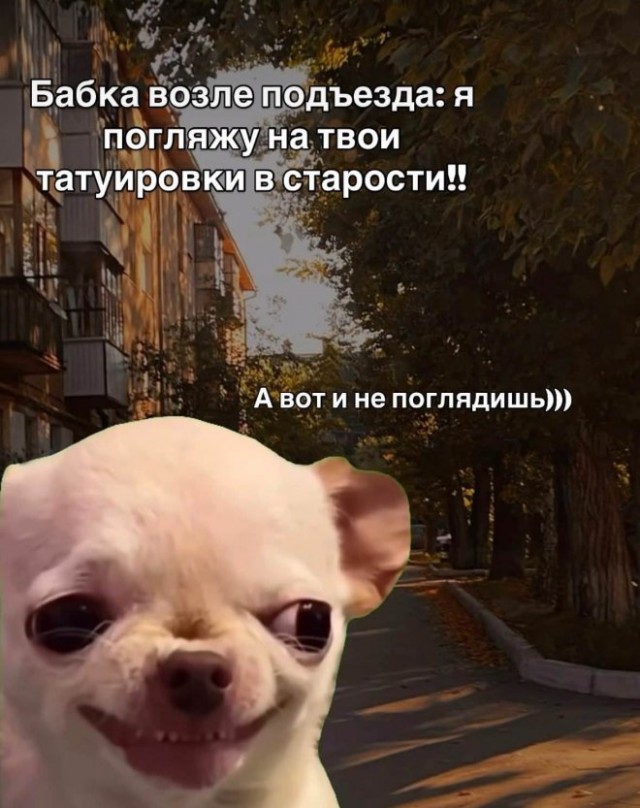 Картиночки, баянчики 10 февраля