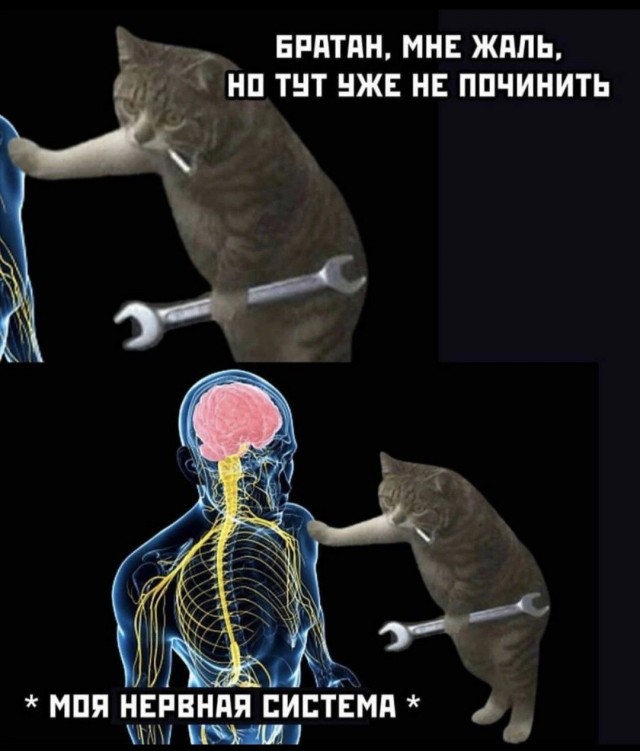 Немного картинок на ночь