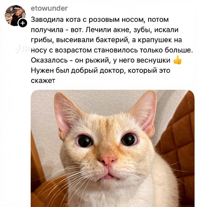Соски хоть на отчекрыжила?