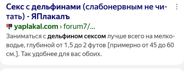 Мы все немного дельфины....