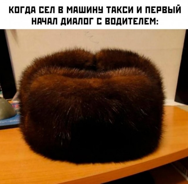 Веселые картинки в пятницу (16.10)