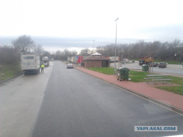 Где яблоки растут!