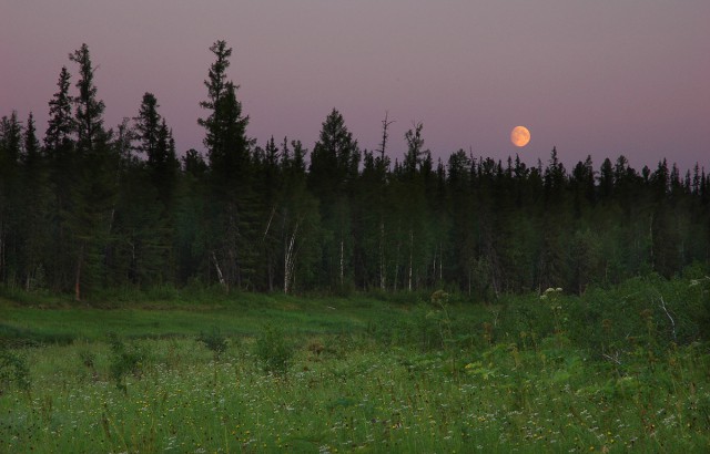 Деревенская Америка