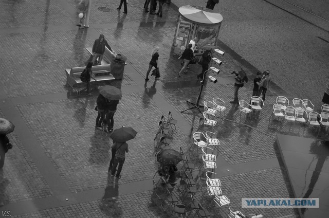 15 любительских фотографий