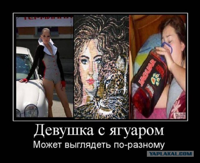 Традиционная пятничная подборка ВК и не только