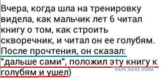 Новая позиция ЕС по