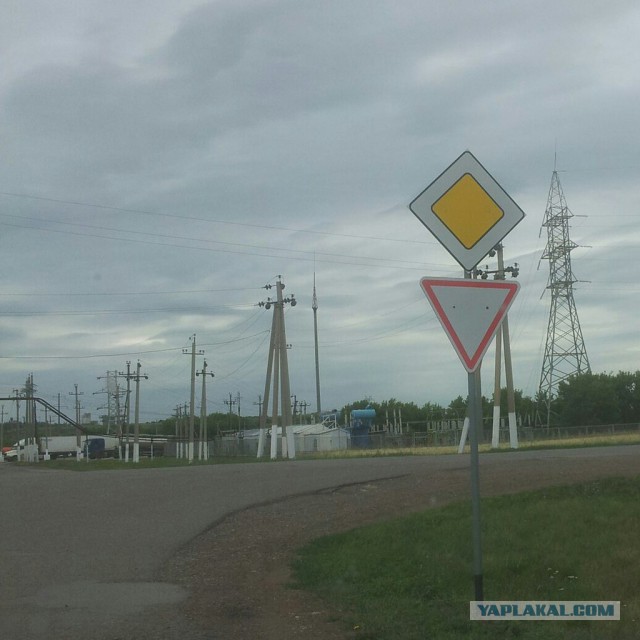 Прикольные картинки из сети