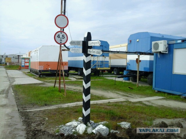 Толпы красоток ждут, пока я найду их...