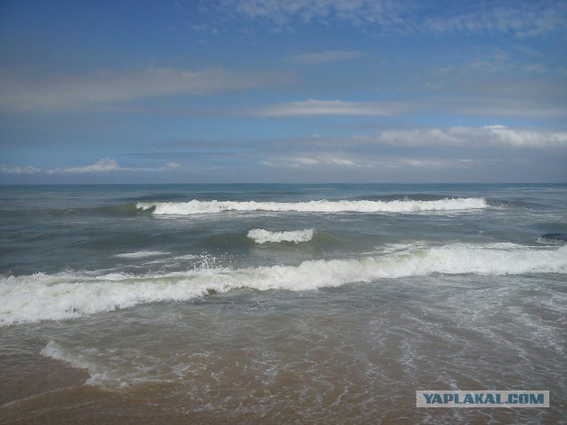 Самостоятельное путешествие в Шри-Ланку