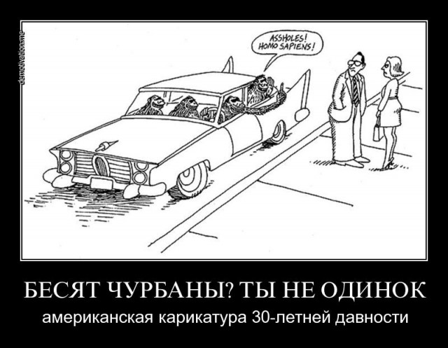 В свете последних событий