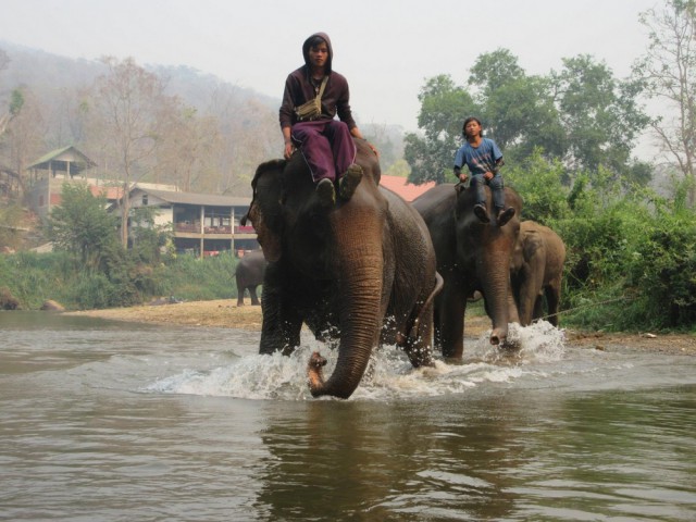Подборка картинок 02.03.16
