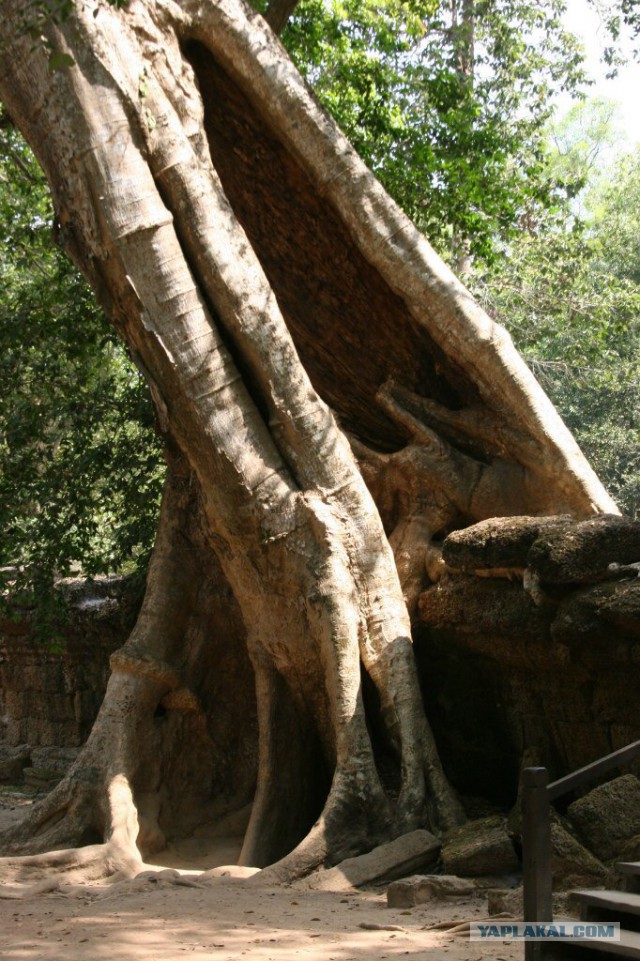 Анкор-Ват, Камбоджа - самый большой храм в мире
