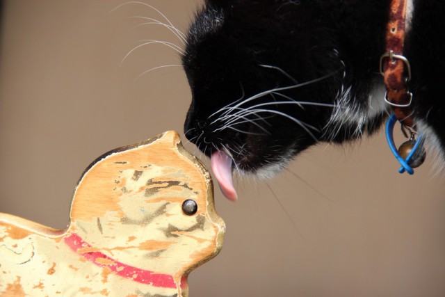 Подборка интересных и веселых картинок