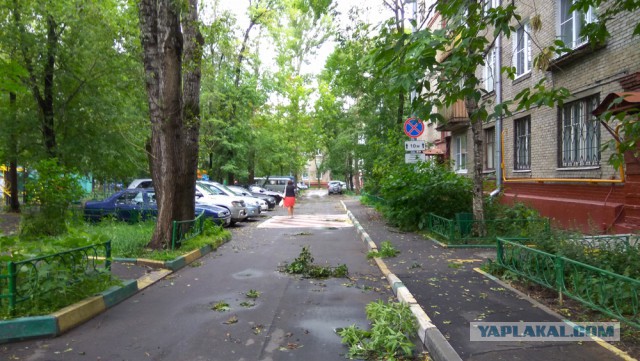 Сильная гроза в Москве и ее последствия