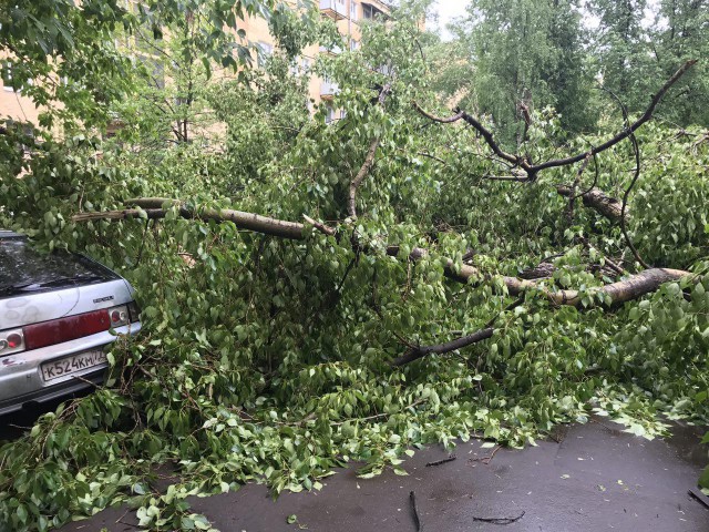 В Москве ураган!