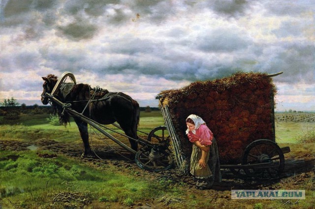 «Суровая сочинская женщина» показала, как нужно вести себя со змеями