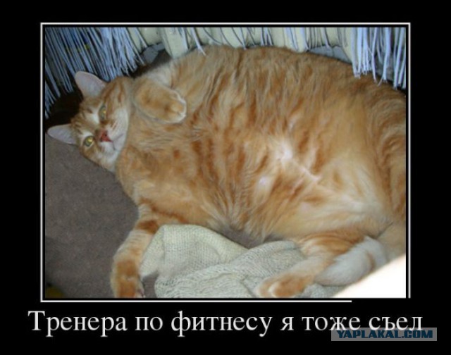 Когда размер не имеет значения