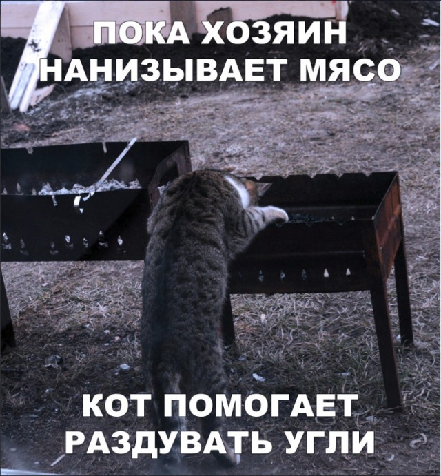 Нестандартный юмор