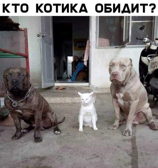 Немного картинок для настроения