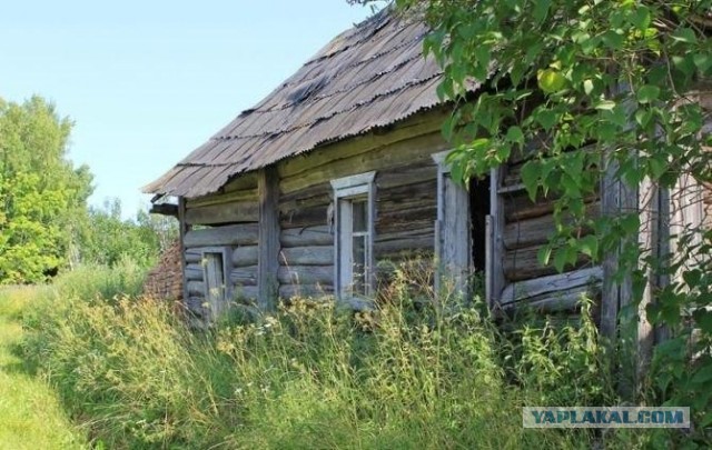 Жизнь на селе невыносима — считает большинство граждан России