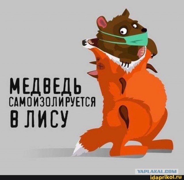 Бредзона 15.04.2020