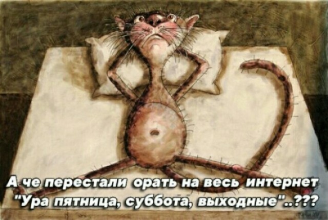 Сегодня пятница, а это значит...
