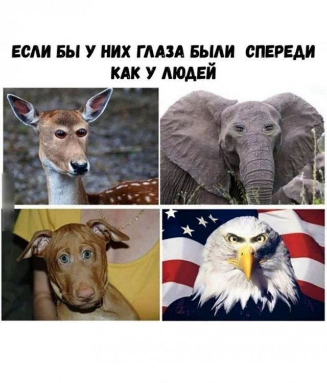 Немного картинок для настроения 20.05.20