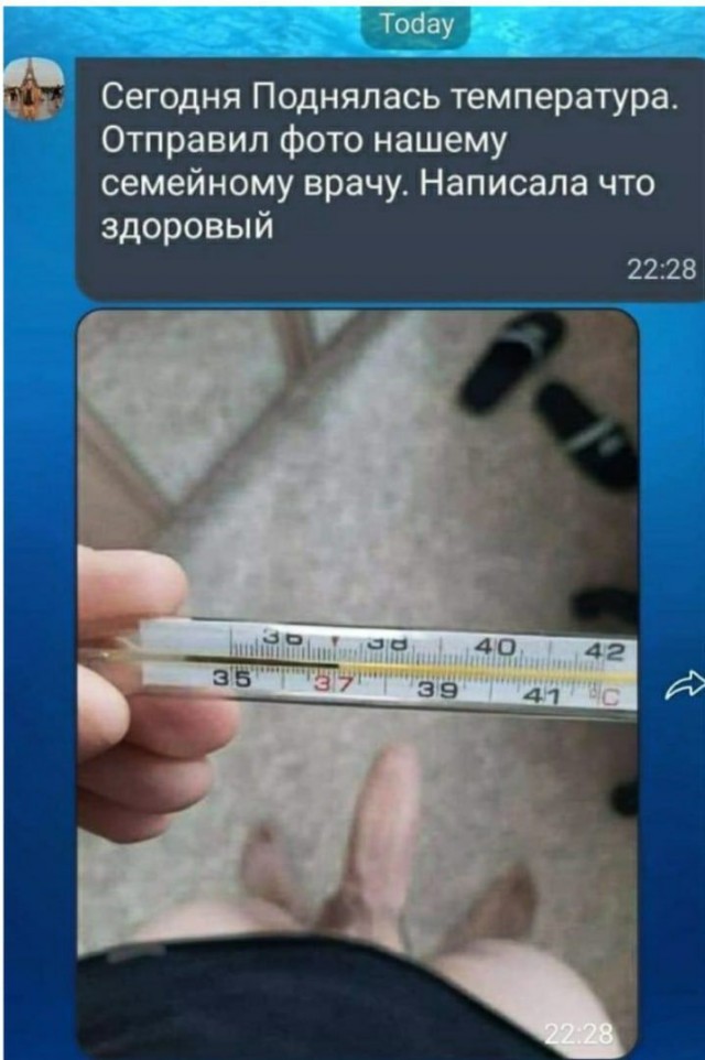 Расслабуха в эти выходные