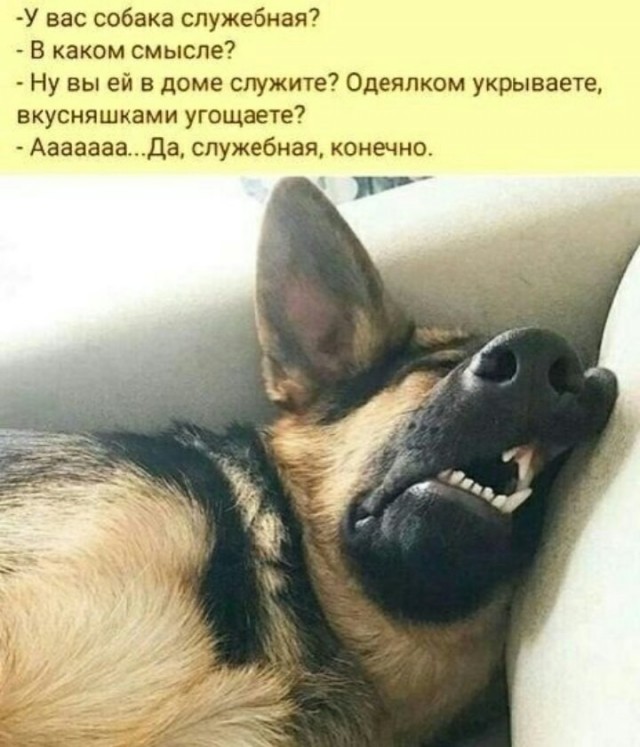 Ну ё-моё, как же так?