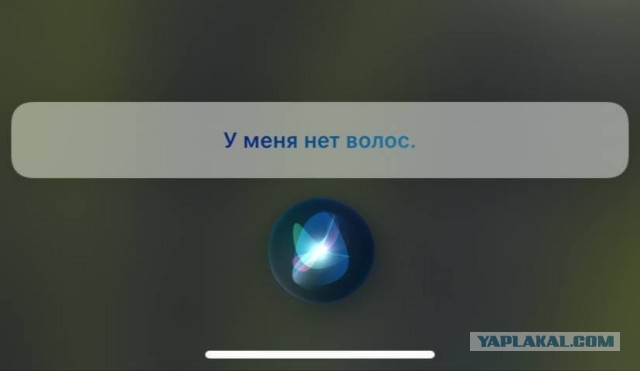 Семь свиданий за час...