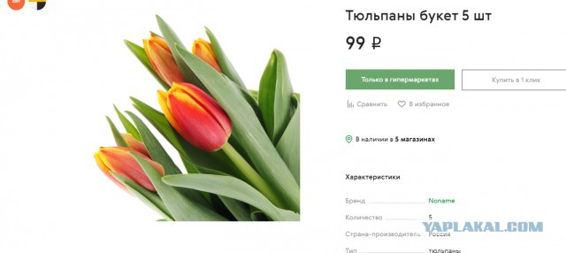 «Цены кусаются, мужчины недовольны». Матвиенко возмутила стоимость цветов перед 8 марта