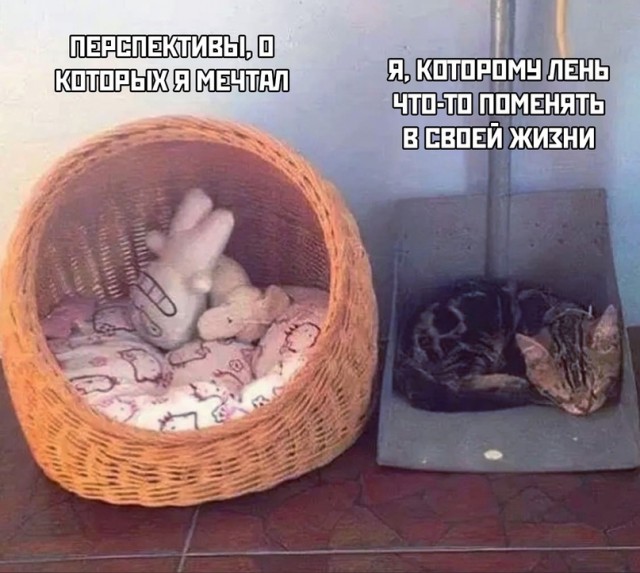 Весёлый полтишок 21.07