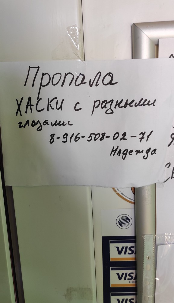 Дюк, потерян а не выброшен!