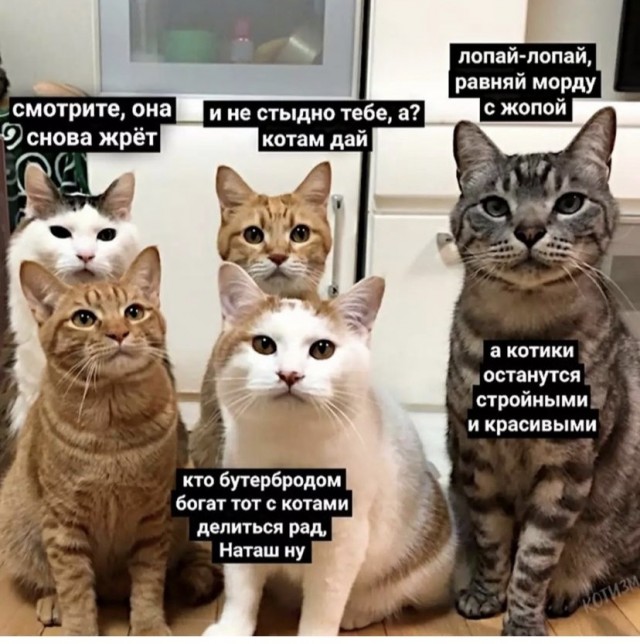Картинки и мемы, всем прекрасных выходных