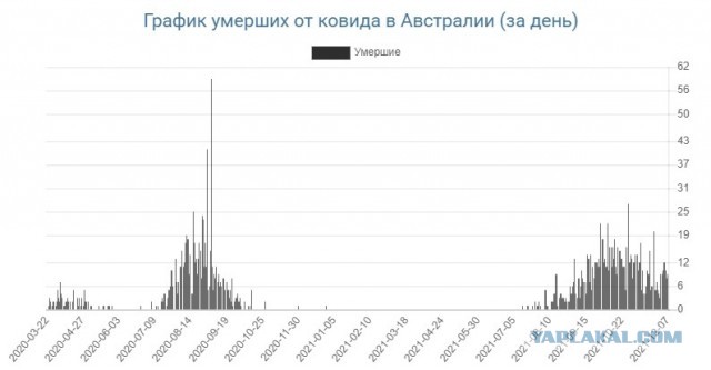 В Квинсленд (Австралия) невакцинированных граждан, которым необходима трансплантация, теперь не будут допускать к операциям