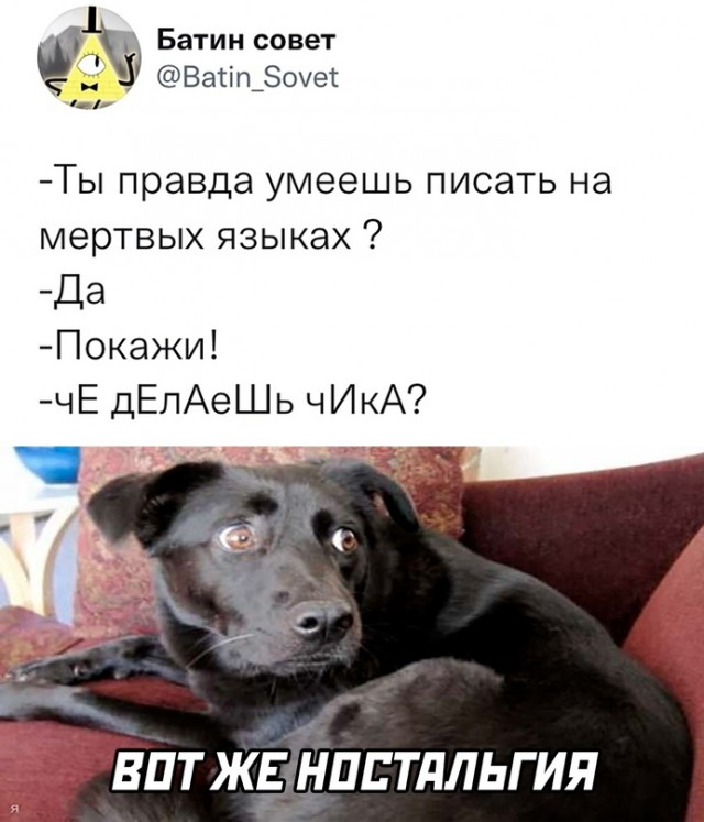 Весёлый полтишок 31.12