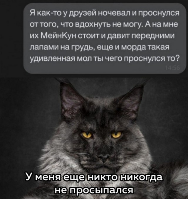 Весёлый полтишок 03.01
