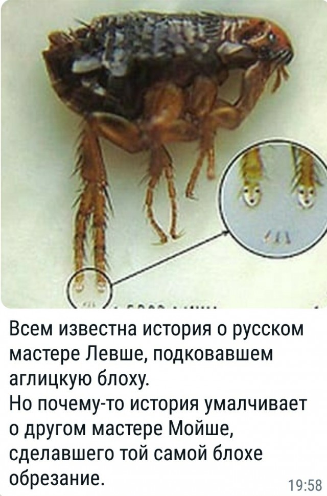 Картинки с надписями и всякие жизненные фразы