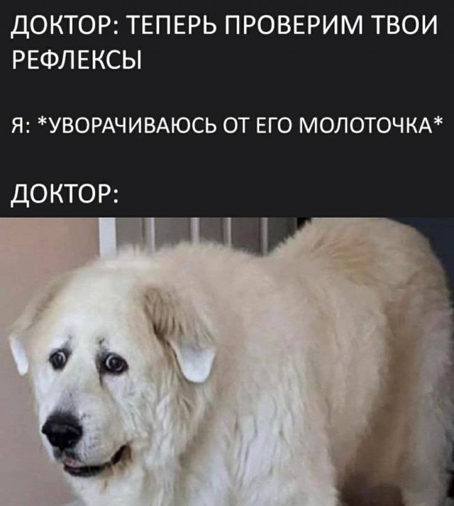 Картинки аморальные и всякие разные - 27