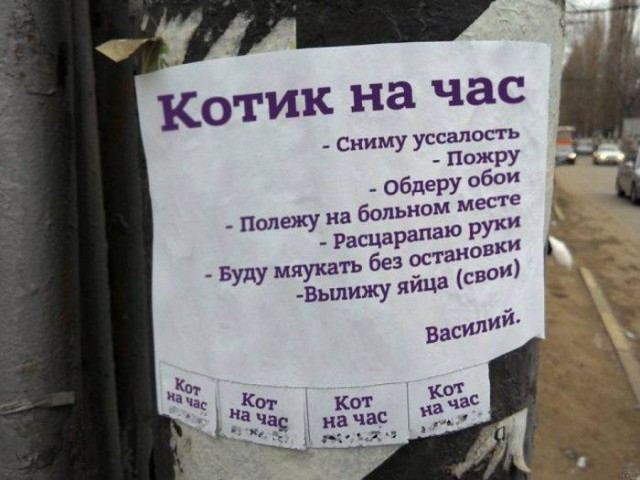 Картинки для улыбнуться #7.0