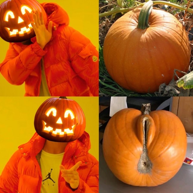 Картинки и мемы. Выходные близко...