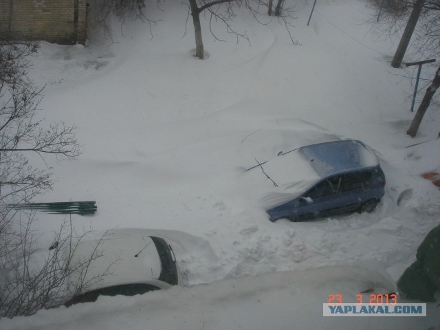 23 марта. Киев. Весна.