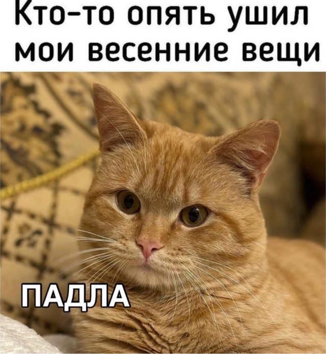 Юмор в картинках и без 12.04