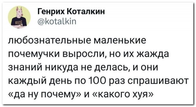 Забавные комментарии из социальных сетей (28.08.23)