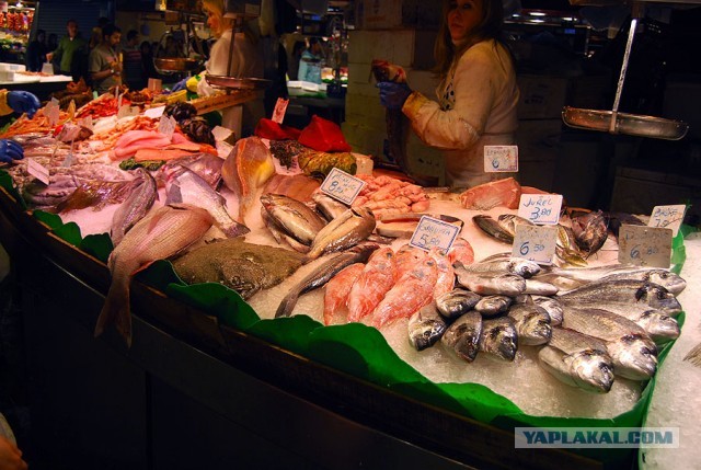 Рынок Бокерия